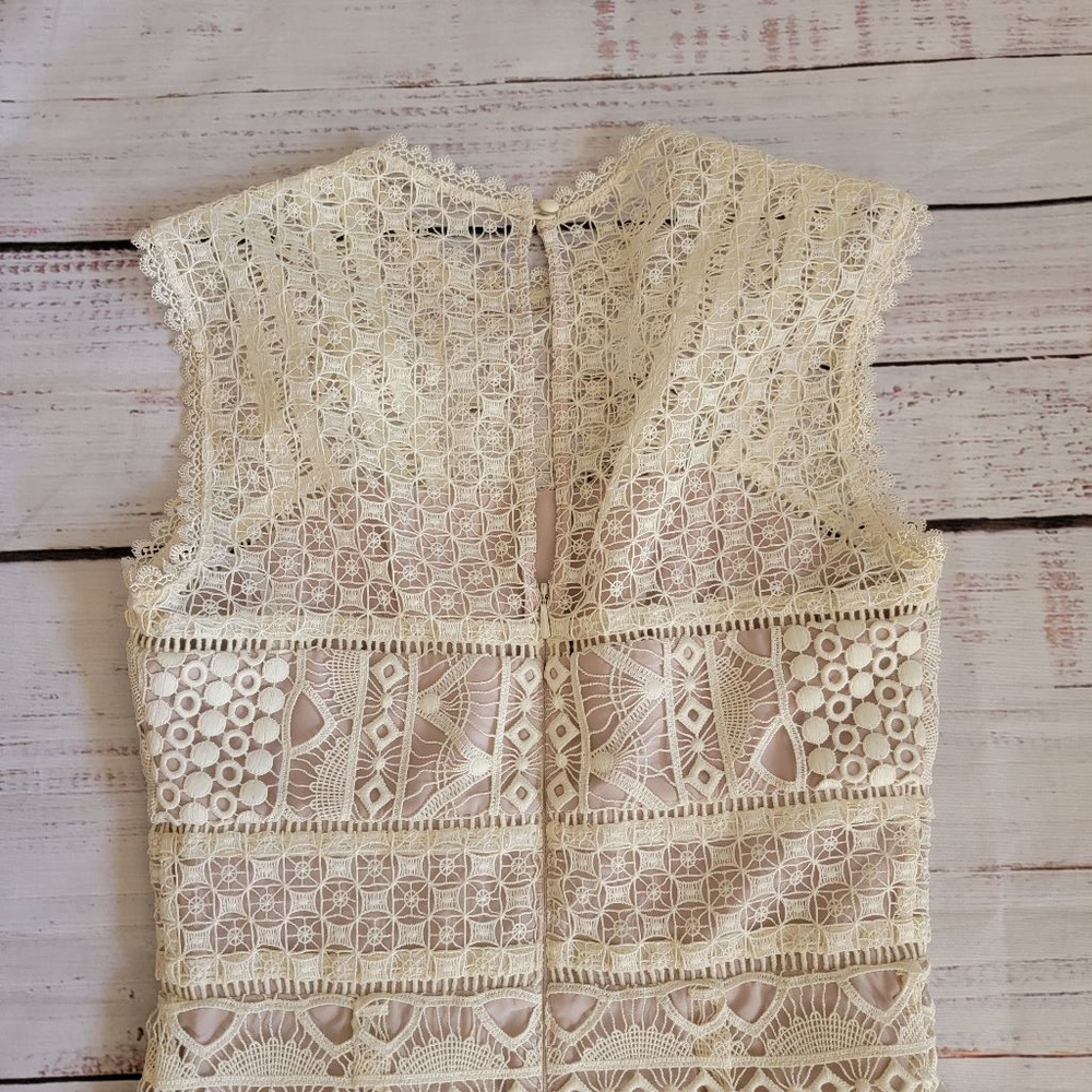 Karen Millen Beige Lace Midi Dress - Picture 6 of 7